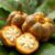Właściwości sapote – zdrowotne korzyści i zastosowanie owoców